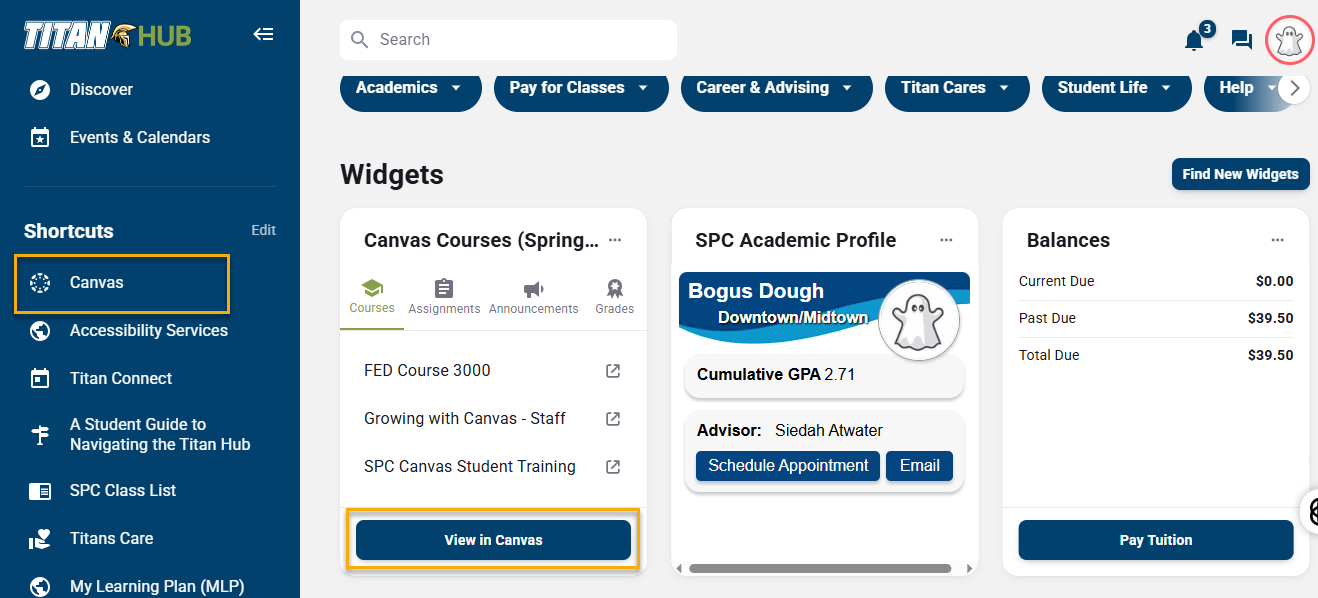 Titan Hub dashboard with course and balance info.