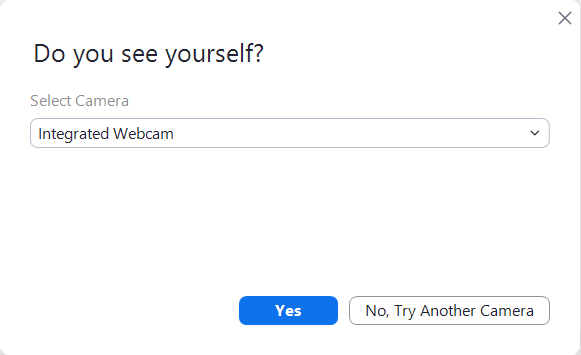 Camera selection interface with "Do you see yourself?