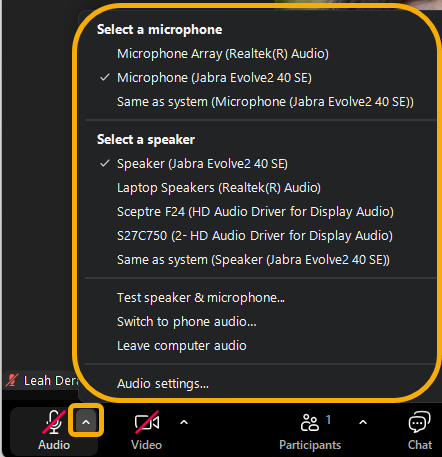 Audio settings menu with microphone and speaker options.
