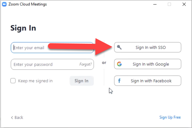 Zoom sign-in screen with email and password fields.