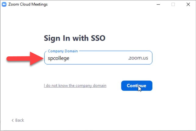 Zoom sign-in screen with company domain field.
