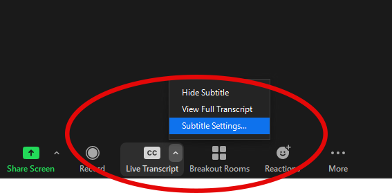 Zoom interface with subtitle options highlighted.