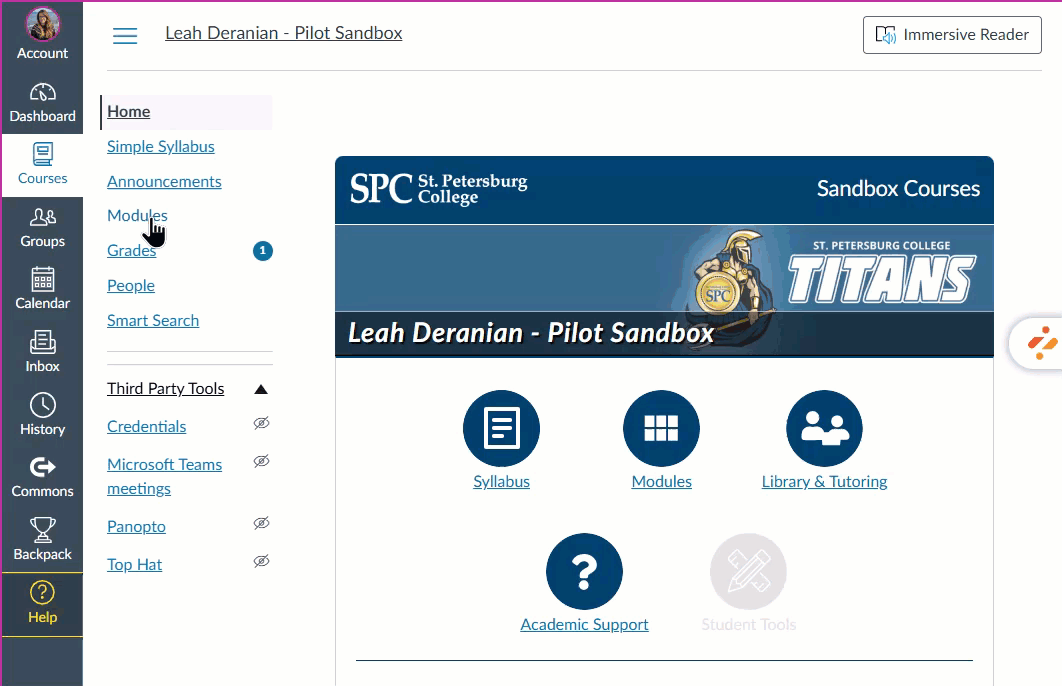 College course dashboard with navigation options.