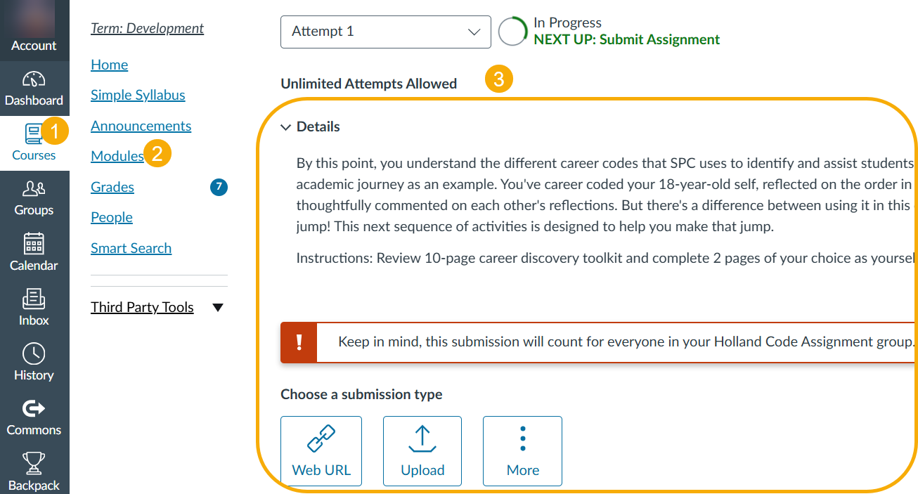 Online course interface with assignment details.